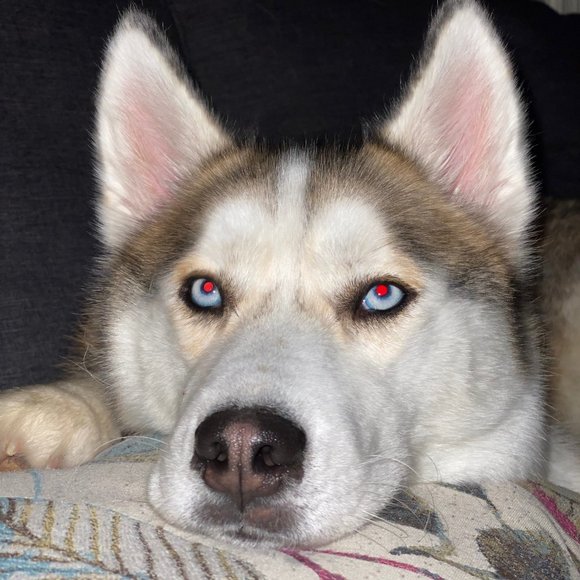 Meet your Posher, Jason/Christy - Picture 6 of 9